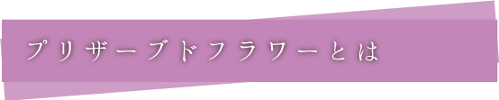 プリザーブドフラワーとは